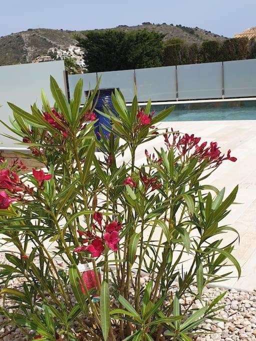 Casa Osimos Portet 450 M โมไรรา ภายนอก รูปภาพ