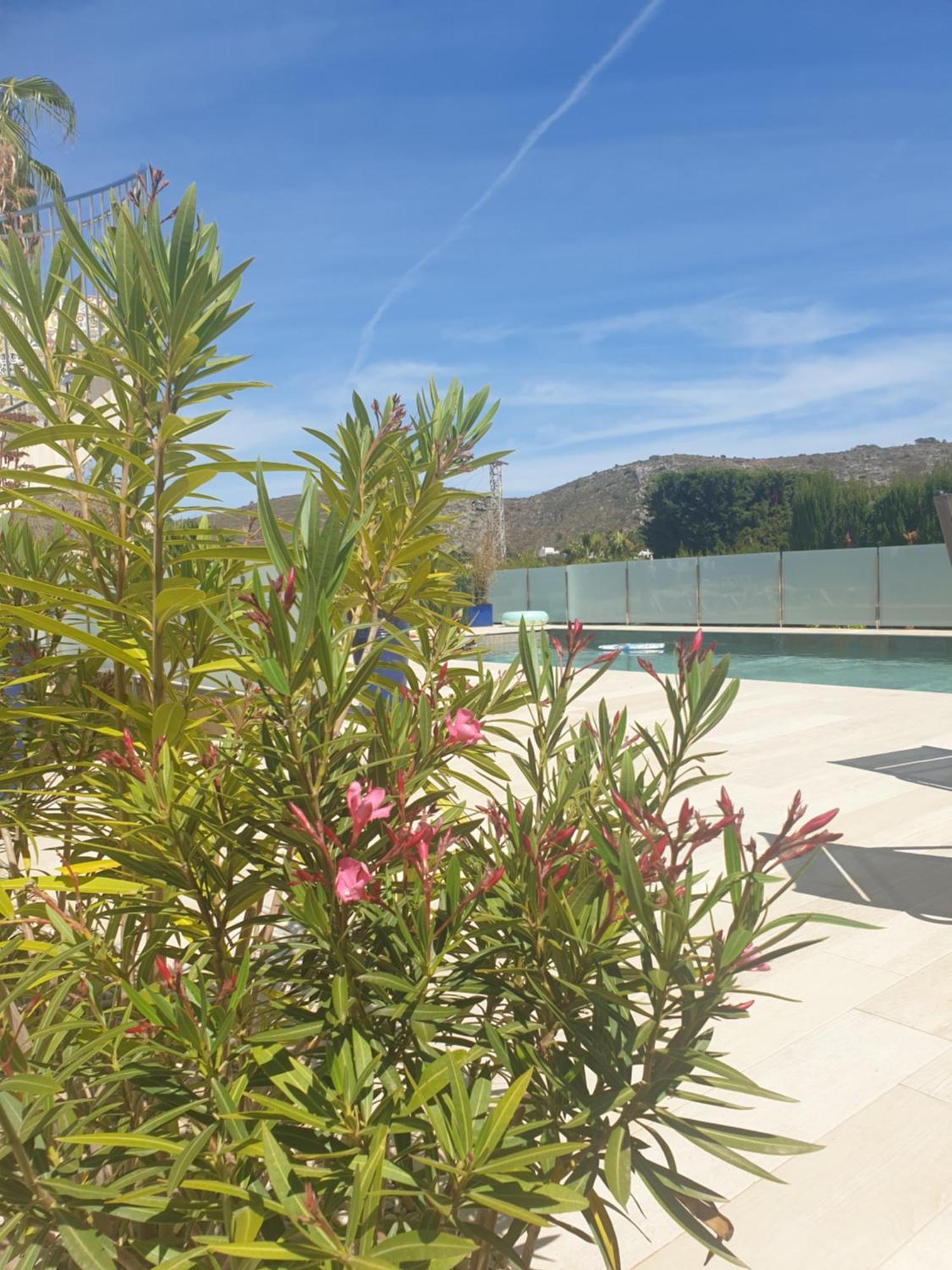 Casa Osimos Portet 450 M โมไรรา ภายนอก รูปภาพ